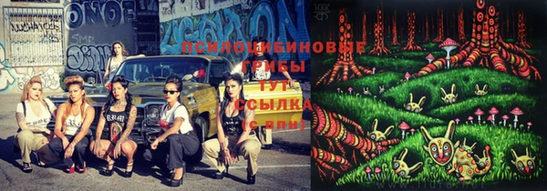 соль курить ск Костерёво