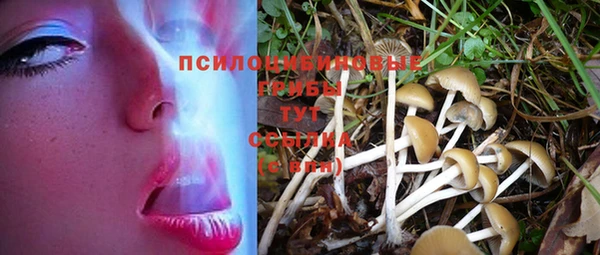 бутират Козельск