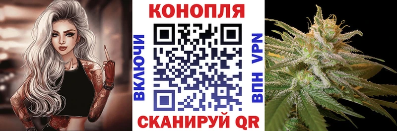 купить закладку  Грайворон  МАРИХУАНА марихуана 